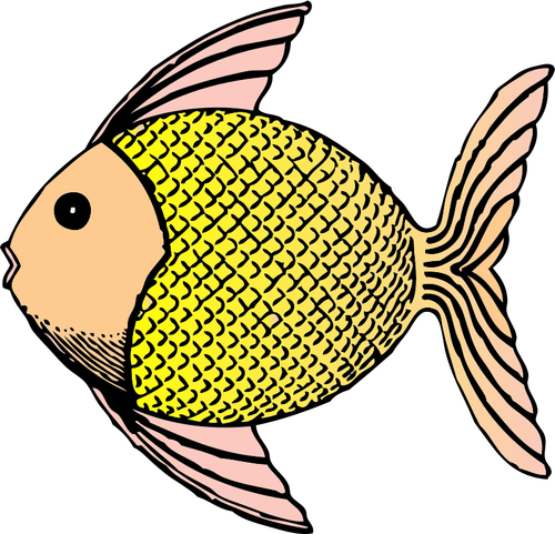 Illustration vectorielle de poissons tropicaux de motifs