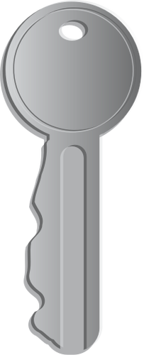 Vector graphics of weird shaped door key