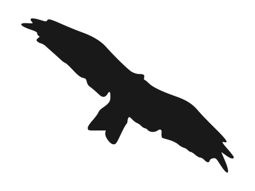 Fliegende Vogel silhouette