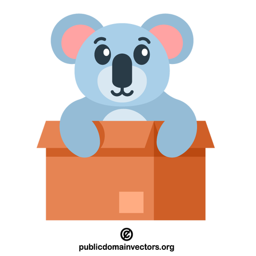 Koala in der Kiste