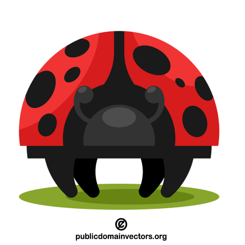 Ladybug insect illustration