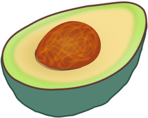 Avocado gesneden in de helft vector illustraties