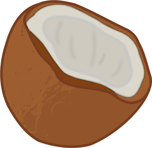 Vector de la imagen de media un icono de la fruta de coco
