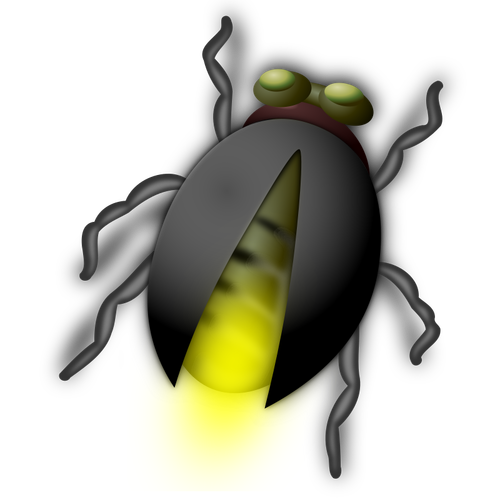 Lyn bug
