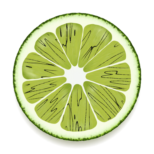 Lime slice vector drawing