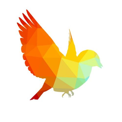 Bird in flight color silhouette