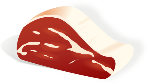 Vector illustration of piece of meat