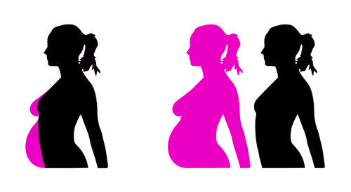 Pregnancy silhouette vector
