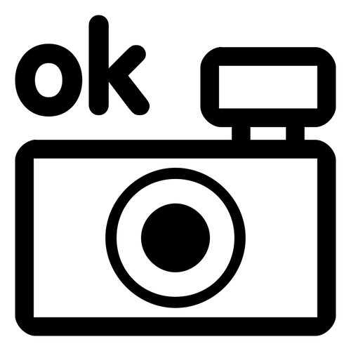 Векторный рисунок ОК значок камеры черно-белые фото