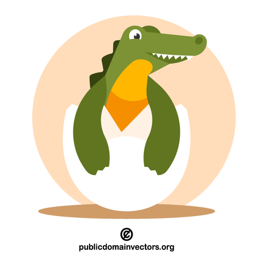 Nyfödd krokodil