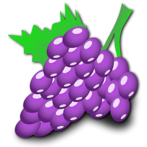 Ilustração em vetor de uvas