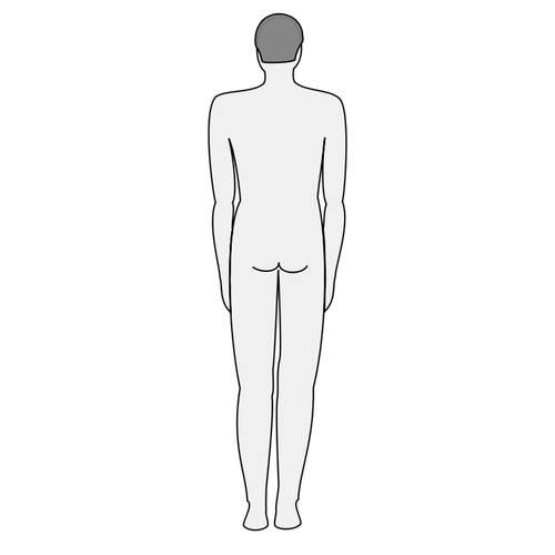 Mannelijk lichaam silhouet vector illustraties