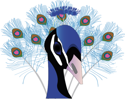 Tegning av peacock med en stor hale