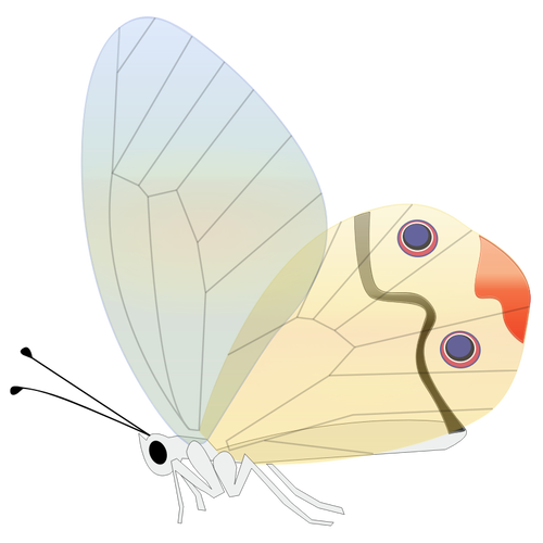 Komische vlinder vectorillustratie