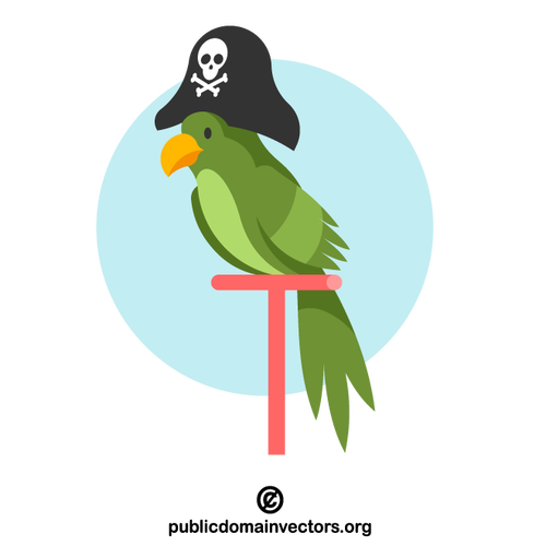 Papoušek s pirátským kloboukem