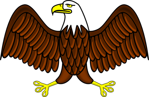 Bald eagle vector kleurenafbeelding
