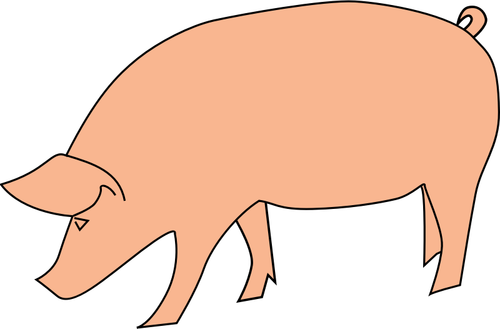 Pig foraging vector clip art