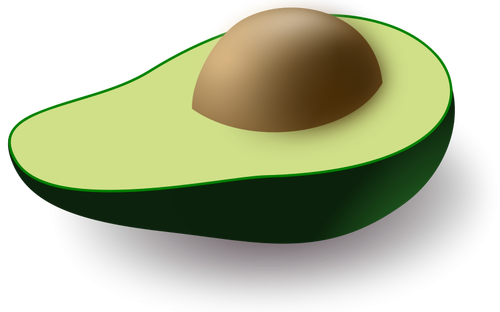 Авокадо векторное изображение