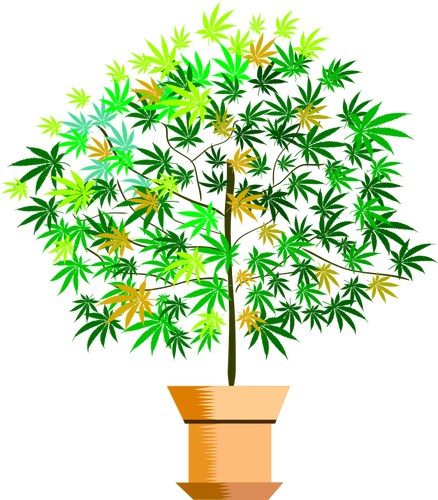 Imagem vetorial de planta em vaso