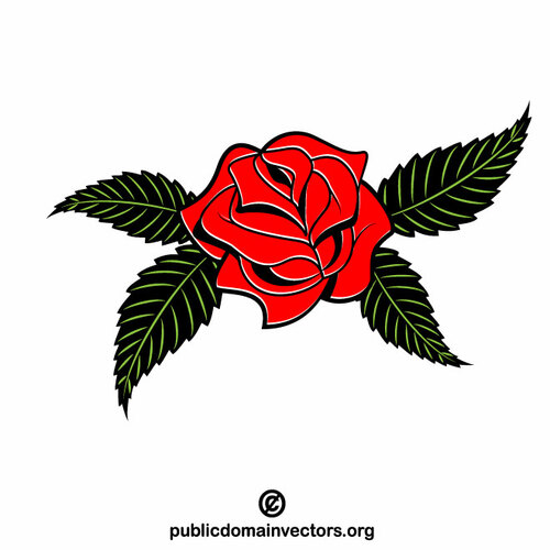 Planta de flor de rosa vermelha