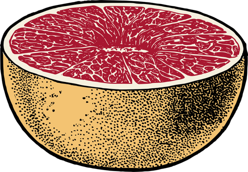 Vektor-Bild der rote Grapefruit halbiert