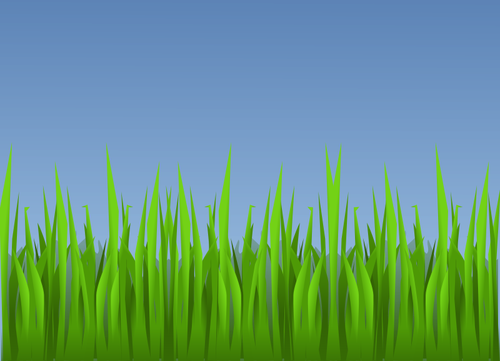 緑の草のベクトル描画