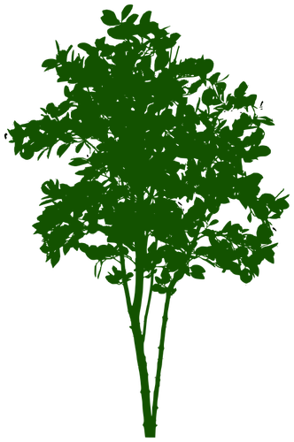 Małe drzewo symbol