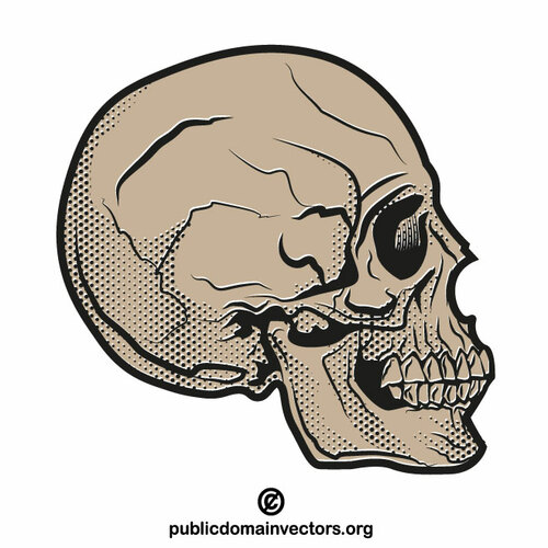 Wektor profilu czaszki