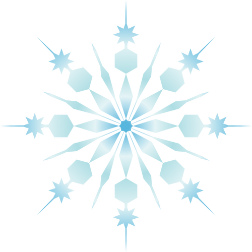 Snowflake art vector