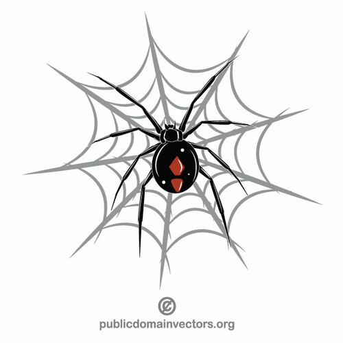 Spider netto vectorafbeeldingen
