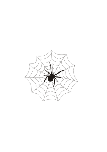 Spinne und web