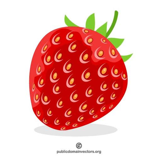 Aardbei-fruit afbeelding