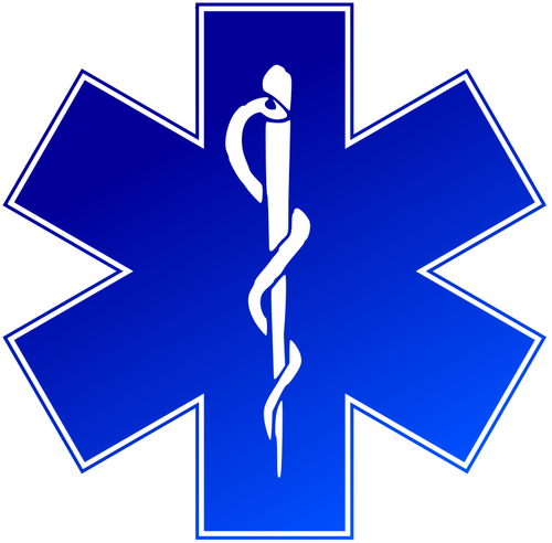 Vector image of emergency medical service