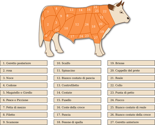 Векторное изображение говядины сокращений схема