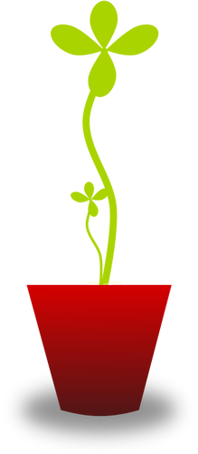 Vektoripiirros pehmeästä vihreästä kasvista punaisessa padassa