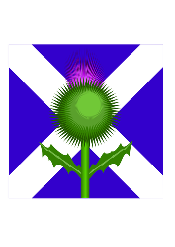 Drapeau et chardon écossais vector image