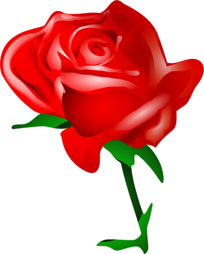 גרפיקה וקטורית ורדים אדומים