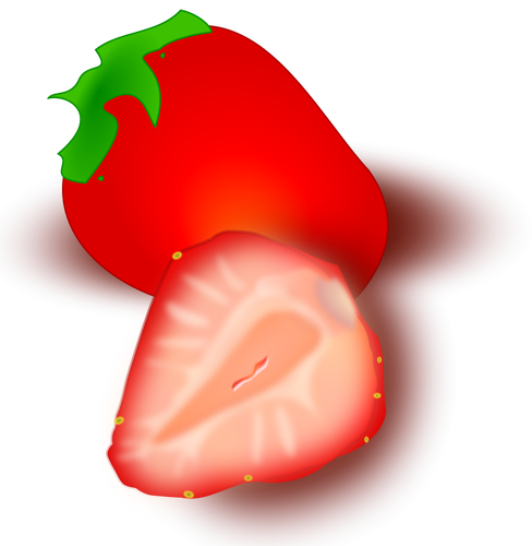 Erdbeer-Vektor-illustration