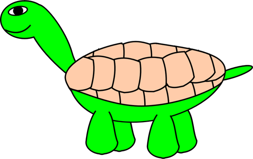 Vector graphics of tortoise with beige shell