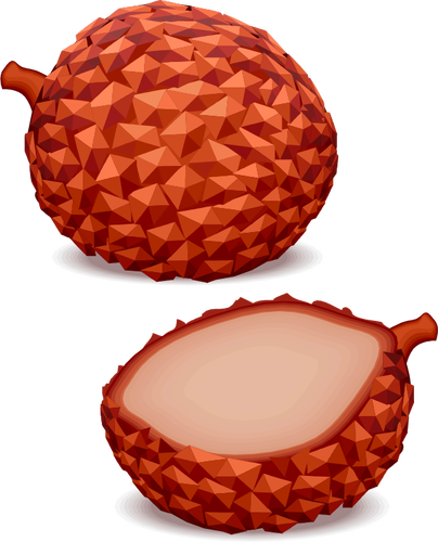 Tropical fruit vector image