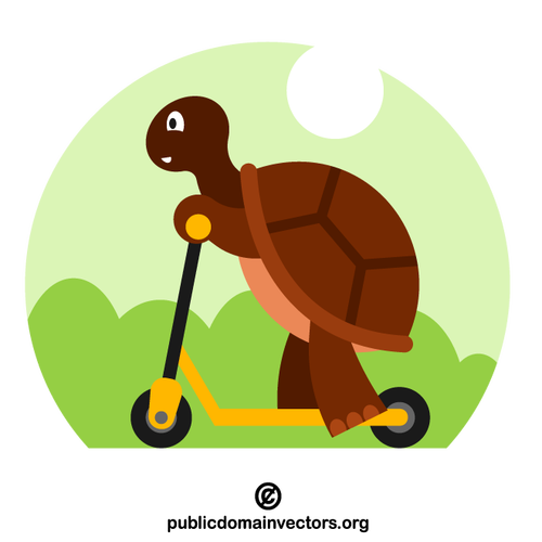 Kick scooter süren kaplumbağa