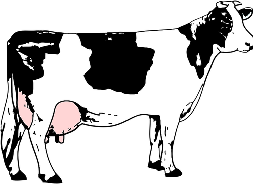 Vektorikuva lehmästä täynnä maitoa
