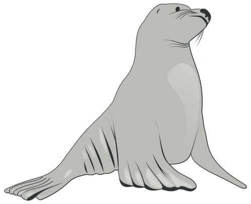 León marino vector imagen