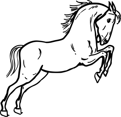 Hoppning häst vektorbild