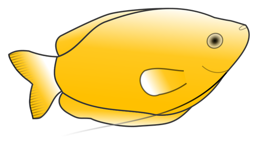 Gourami jaune