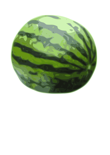 Watermelon vector illustration
