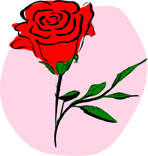 Vektorgrafikk av farget rose