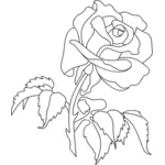 Rosa com folhas linha arte vetor clip-art