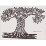 Baum-Gesicht zeichnen
