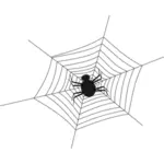 Spinne und Netz